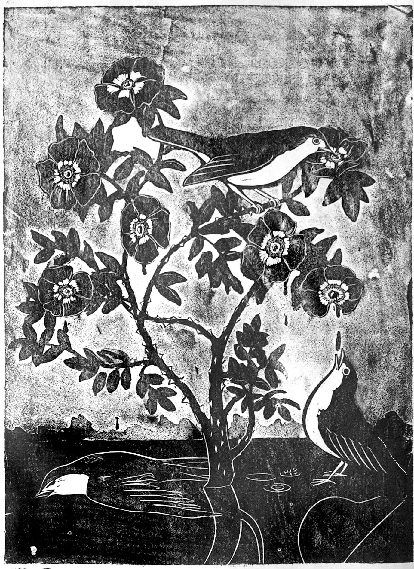 The Rose and the Nightingale